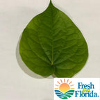 Goodluck Ganesha Fresh Betel Leaf Paan - 10 Count - image 2