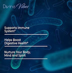 Divine Vibes Probiotics 40 Billion CFU - 60 Capsules - image 4