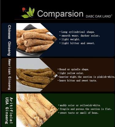 DABC OAK LAND American Ginseng Root - 8 oz - image 5