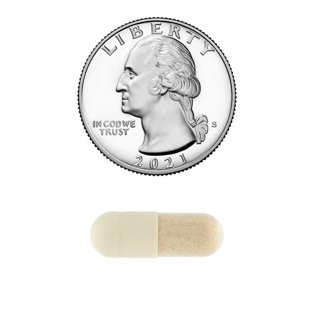 Convergence Brain Health 5 Function Formula - 30 Vegetarian Capsules - image 7