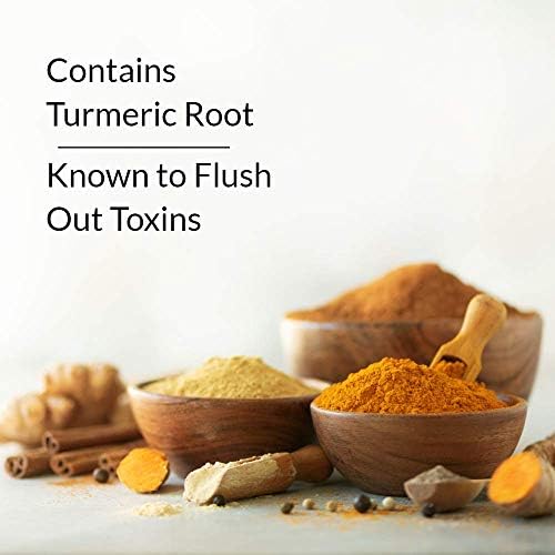 NOXIDE Detox Natural Body Drink with Turmeric & Milk Thistle - 2 Pack - image 2