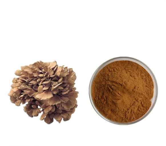 Bright sunlight Maitake Mushroom Extract 20:1 Powder - 100 g - image 2