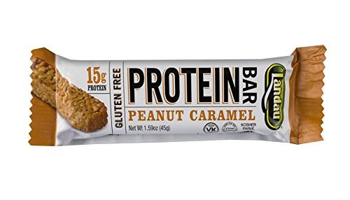 Landau Protein Bar, 15 g Protein 1.6oz bar, 12 Bars (Peanut Caramel)