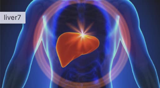 Quality Lab Liver Gold Forte Liver Extract - 300 Capsules - image 4