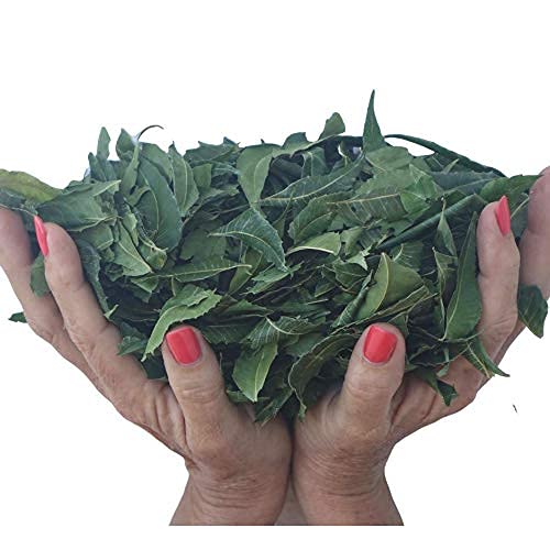 All About Neem Dried Neem Leaves Herbal Supplement - 5 oz