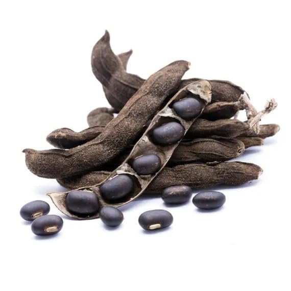 l-dopa Mucuna Pruriens Extract Powder 99% L-Dopa - 4.2oz - image 5