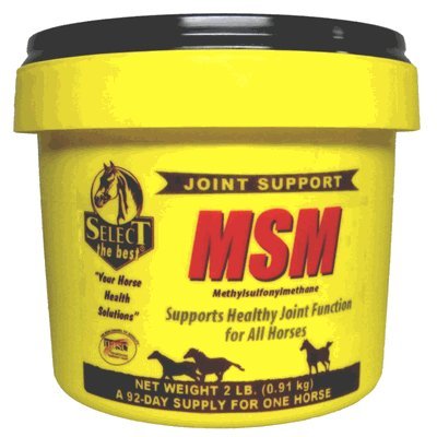 Animal Health International MSM 2 lb - 1 Container