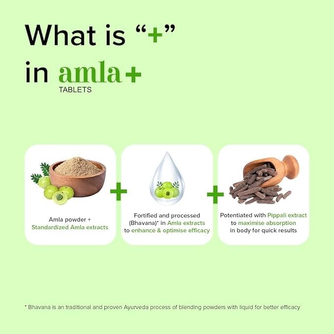 Generic Amla+ with Piperine Vitamin C Tablets - 60 Count - image 2