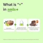 Generic Amla+ with Piperine Vitamin C Tablets - 60 Count - image 2