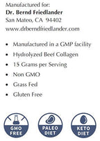Dr. Bernd Friedlander Collagen Peptides Powder - 1 oz - image 2