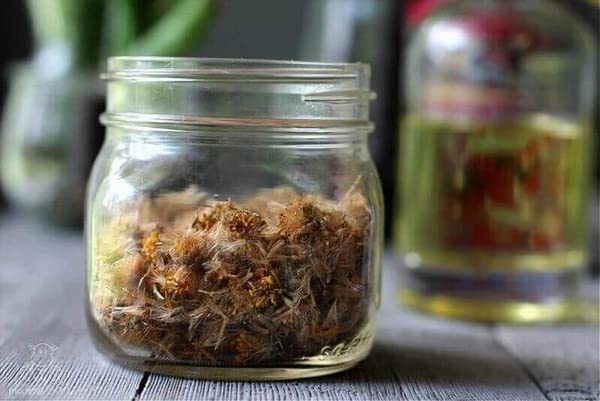 bodi Arnica Flower Whole Cut Dried - 5 Pound - image 2