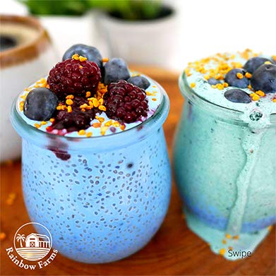 Rainbow Farms Blue Spirulina Powder - image 2