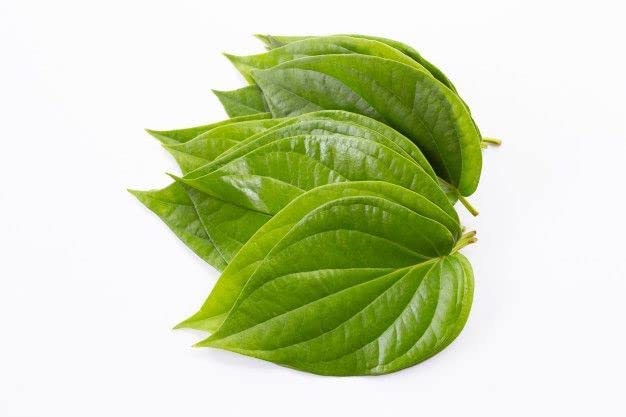 Kaxilu Verem Betel Leaf Powder - 800g - image 2