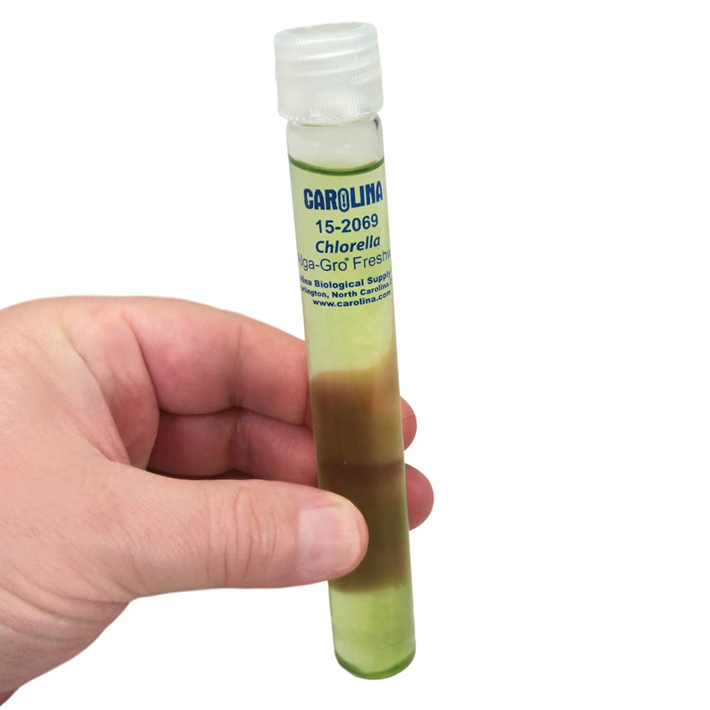 Carolina Chlorella Living Culture - 1 Count