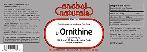 Anabol Naturals L-Ornithine Pure Powder - 200 Grams - image 2