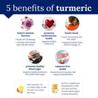 plnt Turmeric with Indian Turmeric Root Joint Support - 120 Vegetarian Capsules - image 6