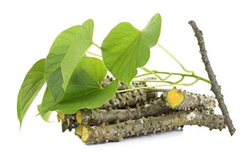 JadiButi Fresh Neem Giloy Sticks - 12 Pack