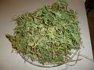Purelife Herbs Anamu Leaves Guinea Hen Weed Powder - 80 Fl Oz