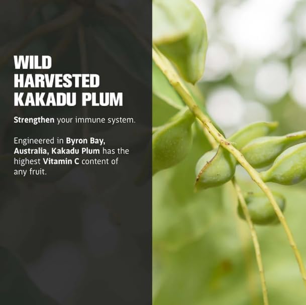 Life Cykel - Shiitake Mushroom Extract with Kakadu Plum - Advance