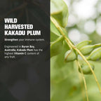 Life Cykel - Shiitake Mushroom Extract with Kakadu Plum - Advance