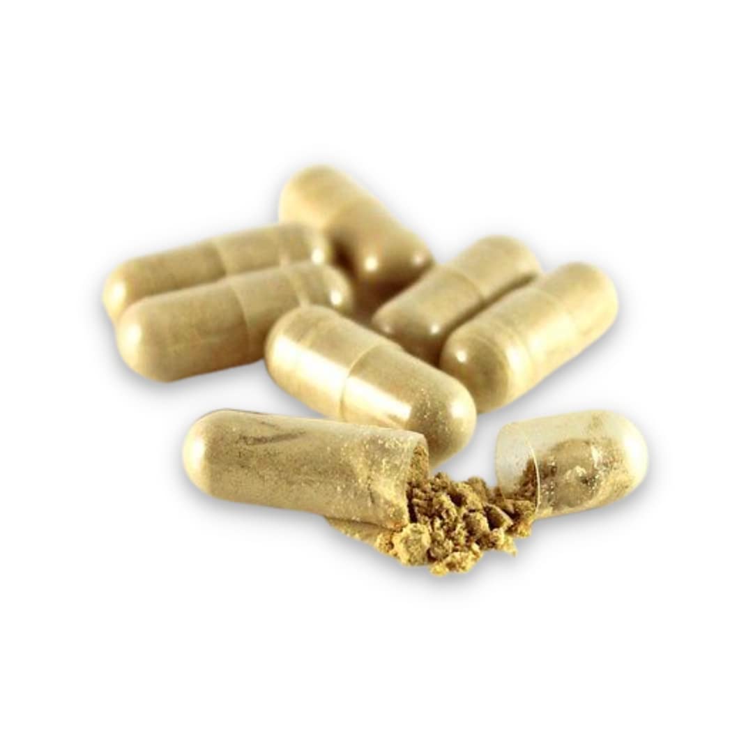 Thompson Nutritional Maca 525mg - 60 Vegetarian Capsules - image 3