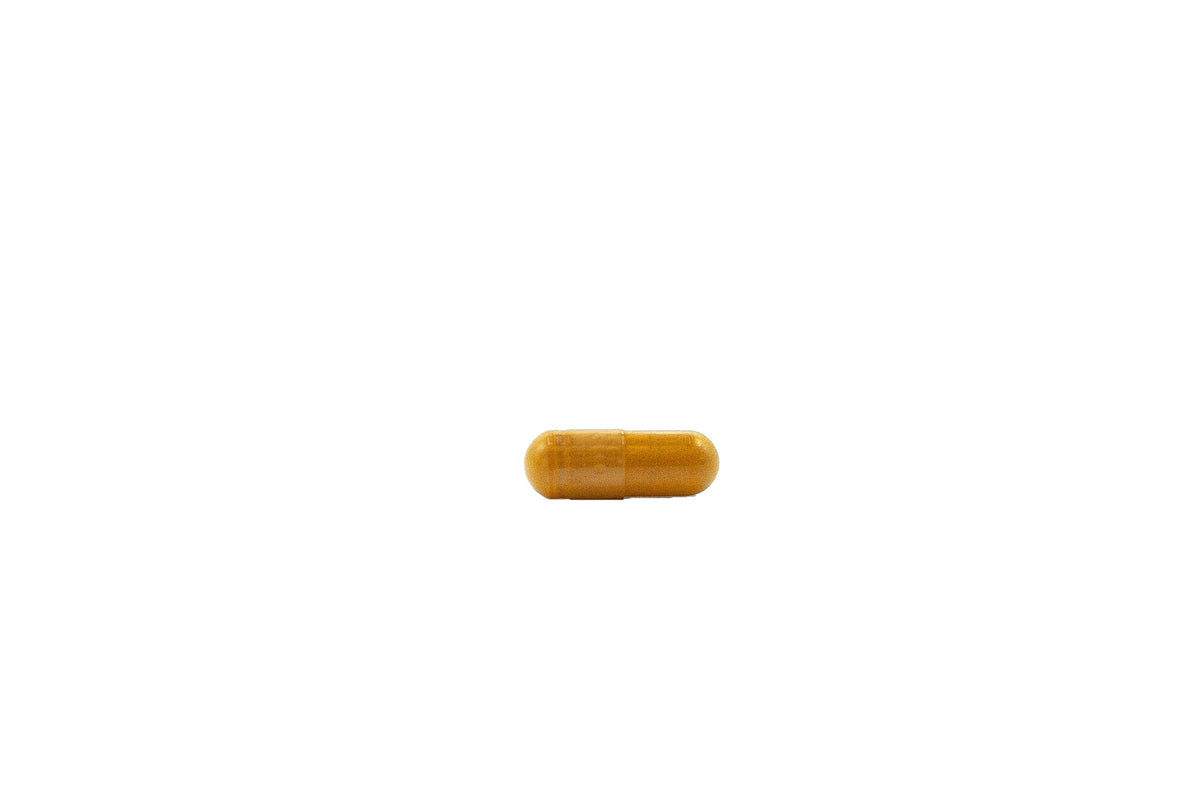 Performance Inspired Nutrition Turmeric Curcumin Capsules for Joint Support - image 2