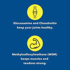 Healthy Joints System Glucosamine Chondroitin MSM - 240 Capsules - image 3