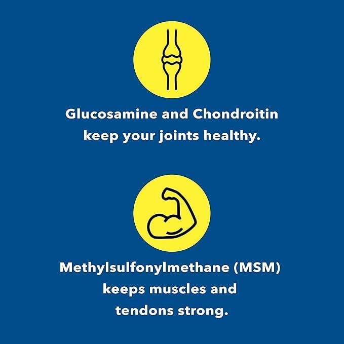 Healthy Joints System Glucosamine Chondroitin MSM - 240 Capsules - image 3
