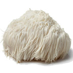 Mushroom Remedy PRO-Nerve & Brain Lion's Mane - 60 Tablets - image 6