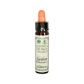 SANTIVERI Dr Bach Gentian Bach Flower Remedy 10ml