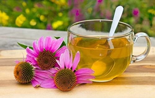 bodi : Echinacea Purpurea Flower Cut Dried