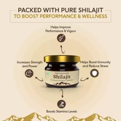 MAGICHOOD Natural Shilajit Resin for Energy & Focus - Pack of 2 - image 4