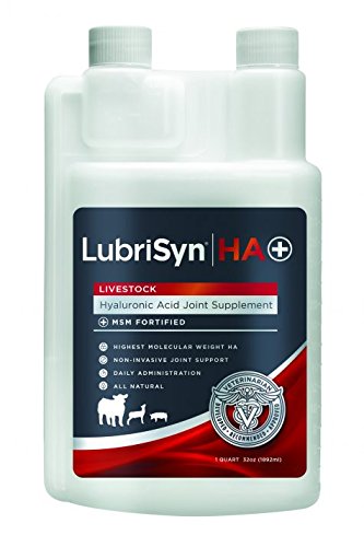 Lubrisyn HA Plus MSM Joint Supplement for Large Animals - 32 oz