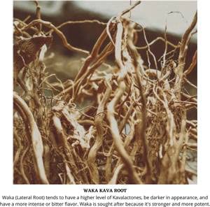 Enjoy Kava Vanuatu Root Powder Noble Kava - 3 x 1/2 Lb - image 5