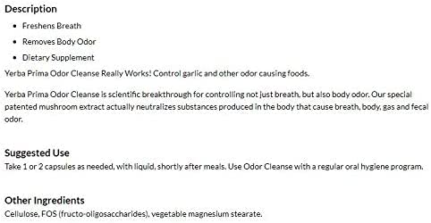 Odor Cleanse Mushroom Extract Supplement - 1 Count - image 4