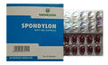 Nagarjuna Herbal Concentrate Spondylon Capsule