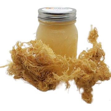 Best Life Irish Sea Moss Gel Wildcrafted - 16 oz