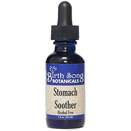 Birth Song Botanicals Stomach Soother Tincture - 1 oz - image 5
