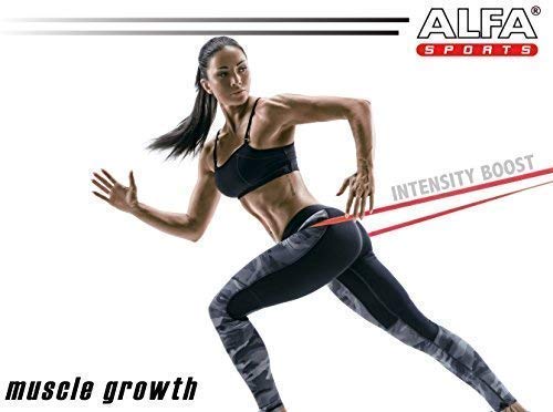 ALFA VITAMINS Maximum Creatine Monohydrate 1200 mg - 100 Capsules - image 5