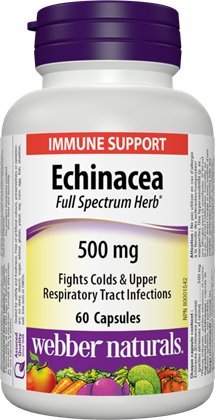 Webber Naturals Echinacea Herb Full Spectrum 500 mg - 60 Capsules