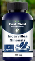 Generic Incarvillea Sinensis Extract 100:1 - 50 Capsules