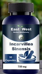 Generic Incarvillea Sinensis Extract 100:1 - 50 Capsules