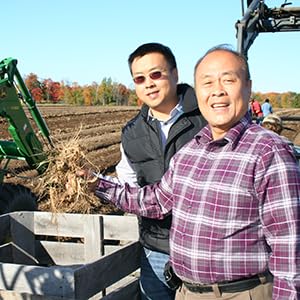 Hsu's American Ginseng Tea Bags
