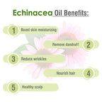 Salvia Echinacea Oil Pure and Natural Echinacea Oil Extract - image 5