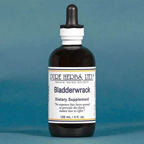 Pure Herbs Bladderwrack Liquid - 4 fl oz