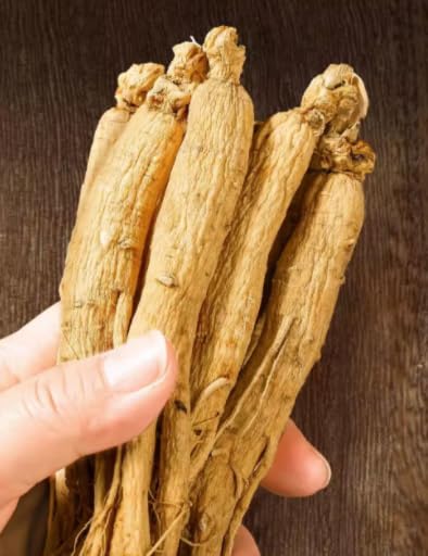 Generic White Ginseng Root Herbal Supplement - 100 Grams