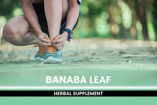 PURE ORIGINAL INGREDIENTS Banaba Leaf Extract - 365 Capsules - image 5