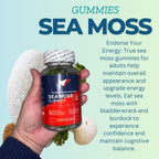 B2U Irish Sea Moss Gummies with Bladderwrack & Burdock - 60 Gummies - image 5