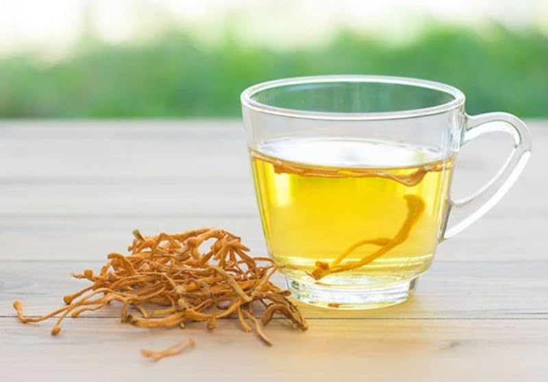 bodi : Cordyceps Mushroom Whole Dried