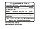 Planet Ayurveda Vasaka Herbal Extract 500mg - 120 Capsules - image 3